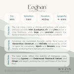 Eoghan - Evergreen Essence - Image 4