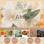 Alani - Orange Tree